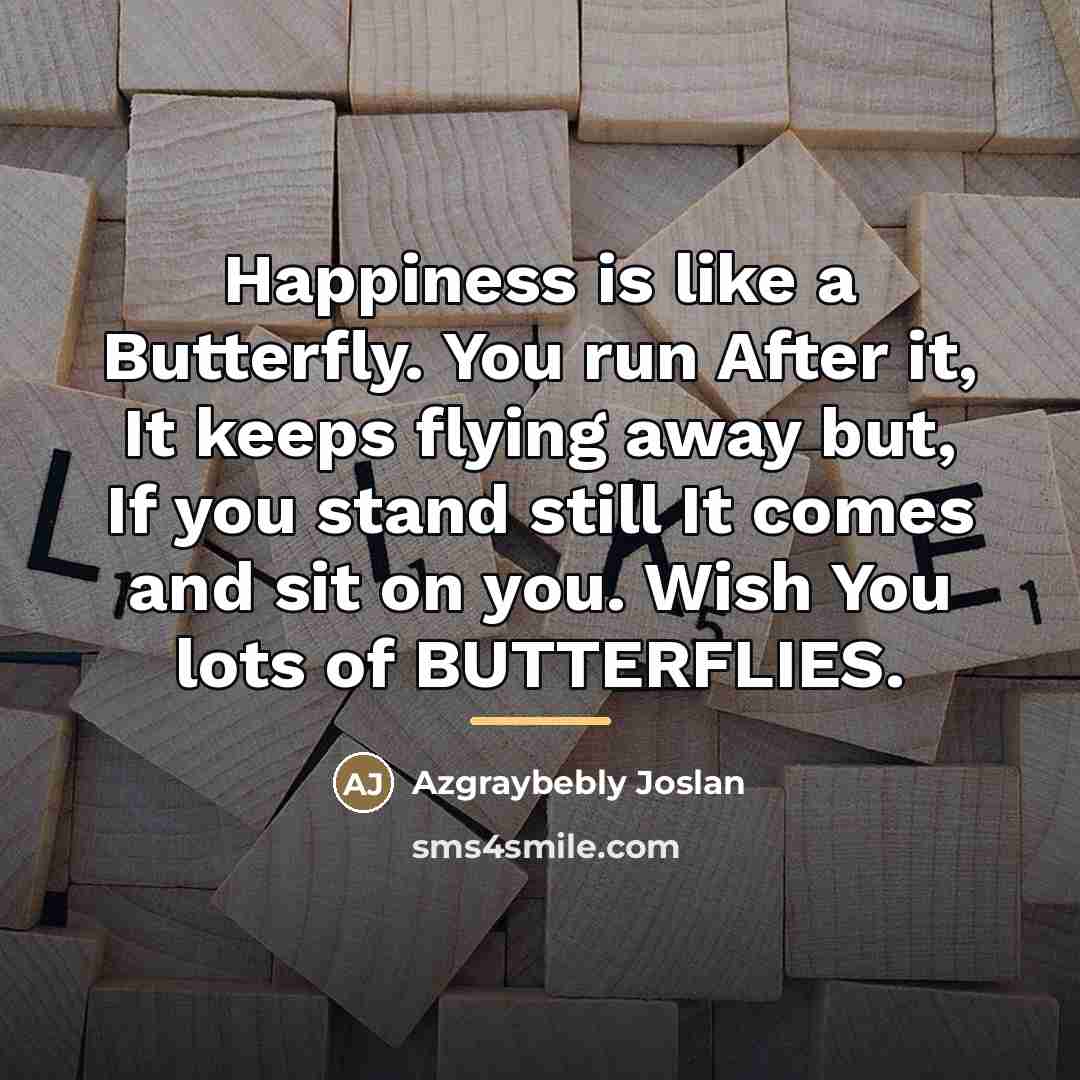 “Happiness is like a Butterfly. You run After it, It…” quote by Azgraybebly Joslan