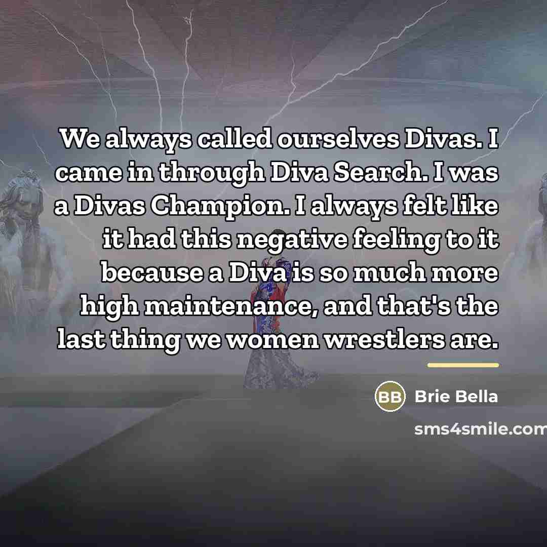 “We always called ourselves Divas. I came in through Diva…” quote by Brie Bella