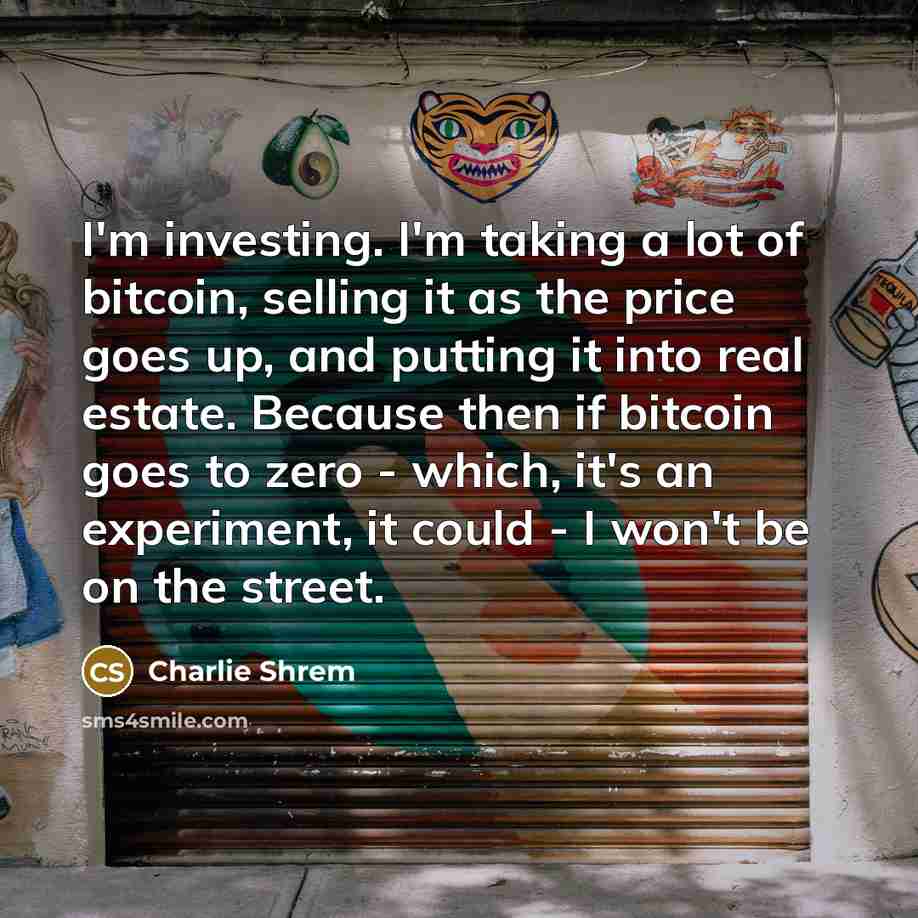 “I'm investing. I'm taking a lot of bitcoin, selling it…” quote by Charlie Shrem