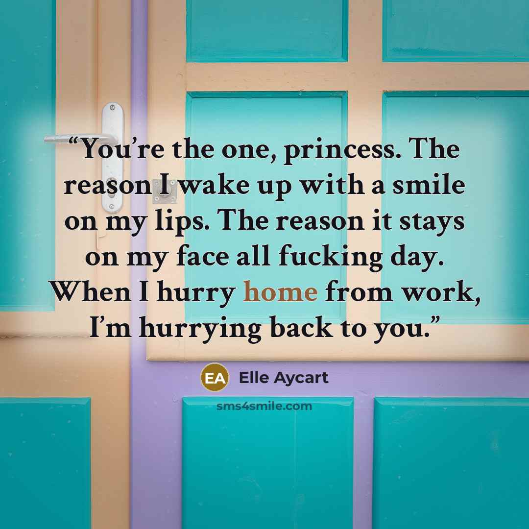 “You’re the one, princess. The reason I wake up with a smile on my lips. The reason it stays on my face all fucking day. When I hurry home from work, I’m hurrying back to you.” quote by Elle Aycart