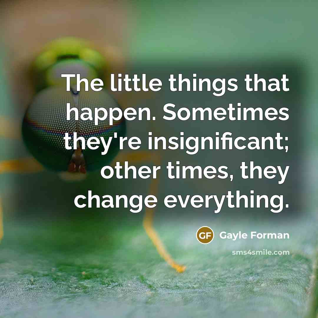 “The little things that happen. Sometimes they're insignificant; other times,…” quote by Gayle Forman