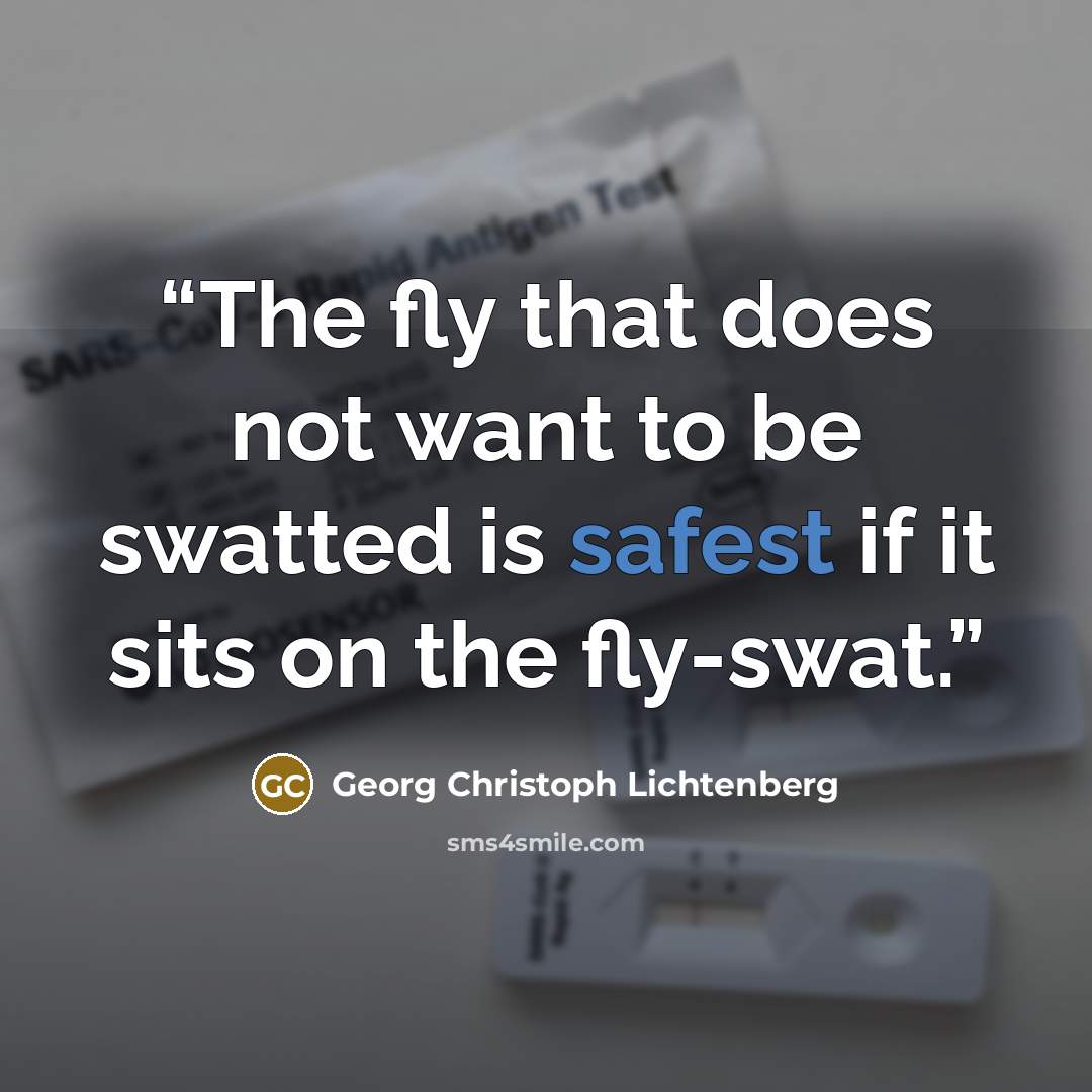 “The fly that does not want to be swatted is safest if it sits on the fly-swat.” quote by Georg Christoph Lichtenberg