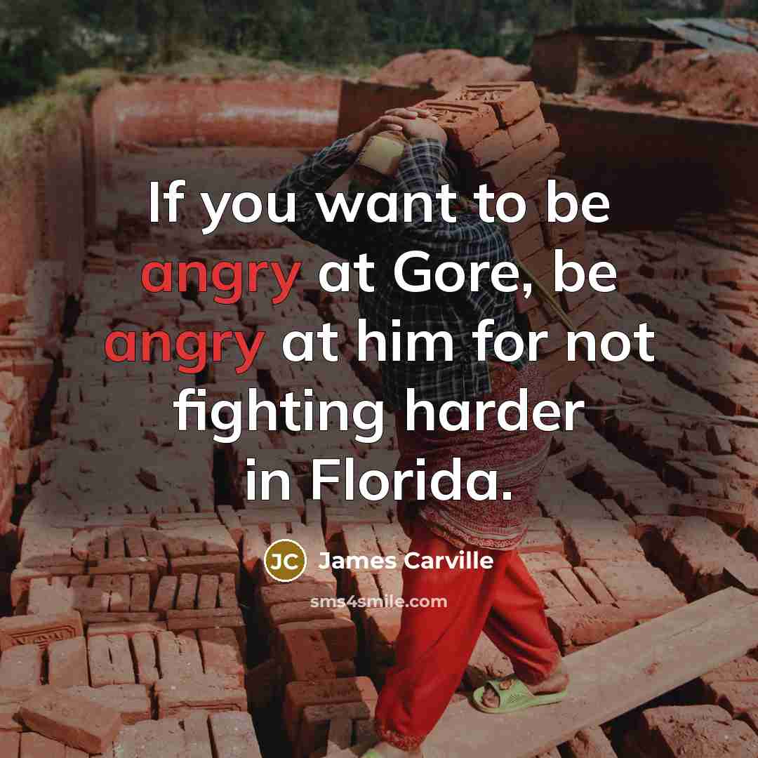 “If you want to be angry at Gore, be angry…” quote by James Carville