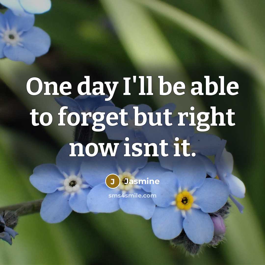 “One day I'll be able to forget but right now isnt it.” quote by Jasmine