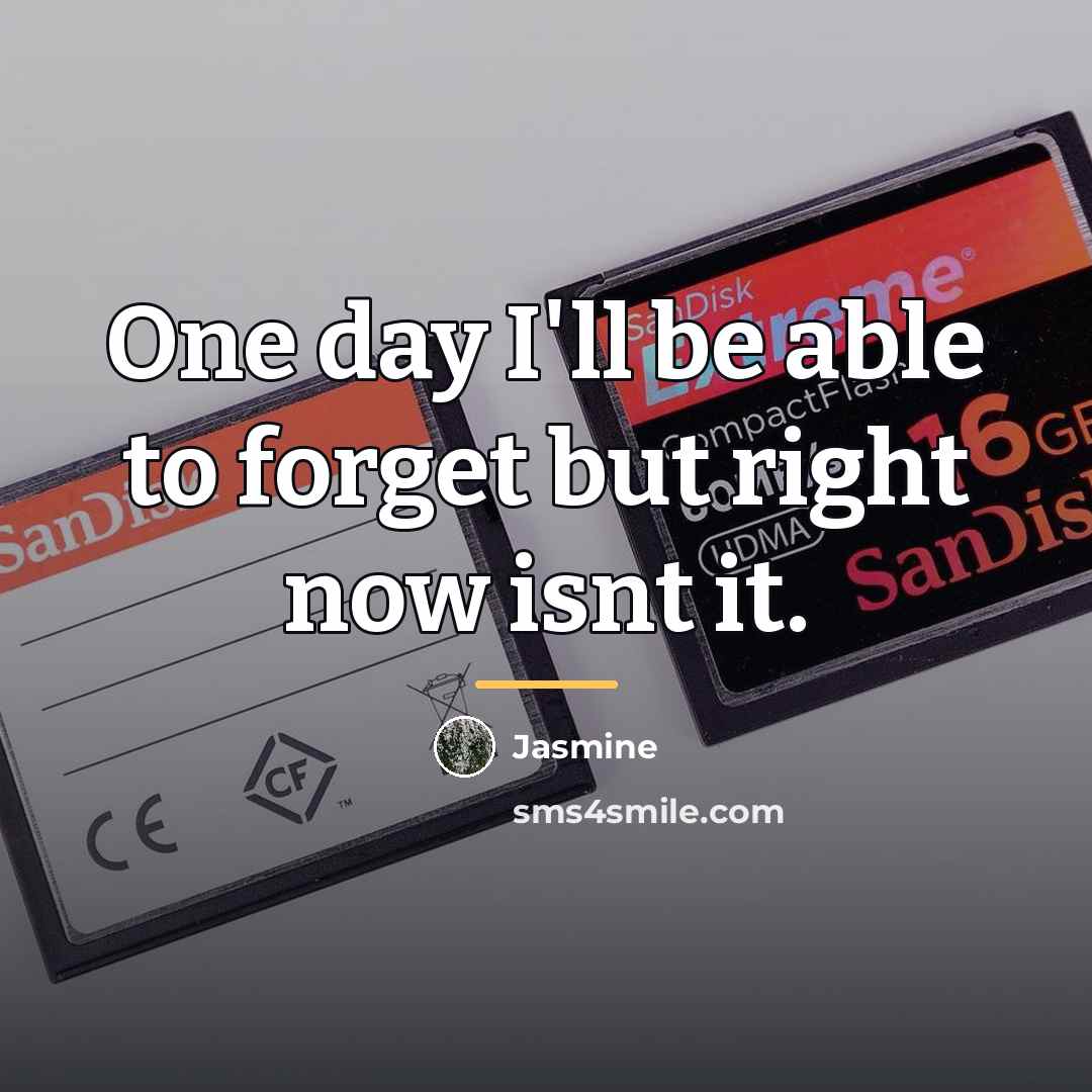“One day I'll be able to forget but right now…” quote by Jasmine