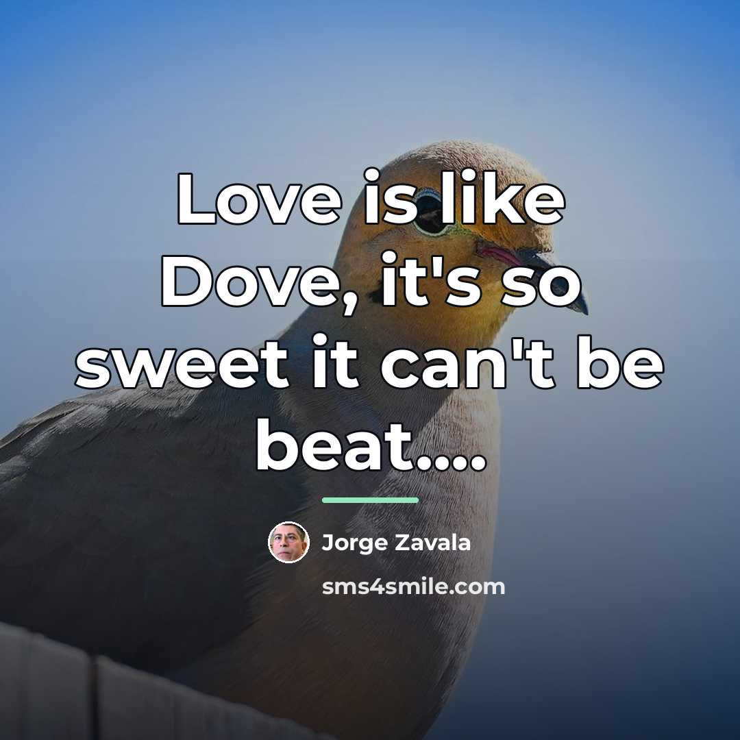 “Love is like Dove, it's so sweet it can't be…” quote by Jorge Zavala