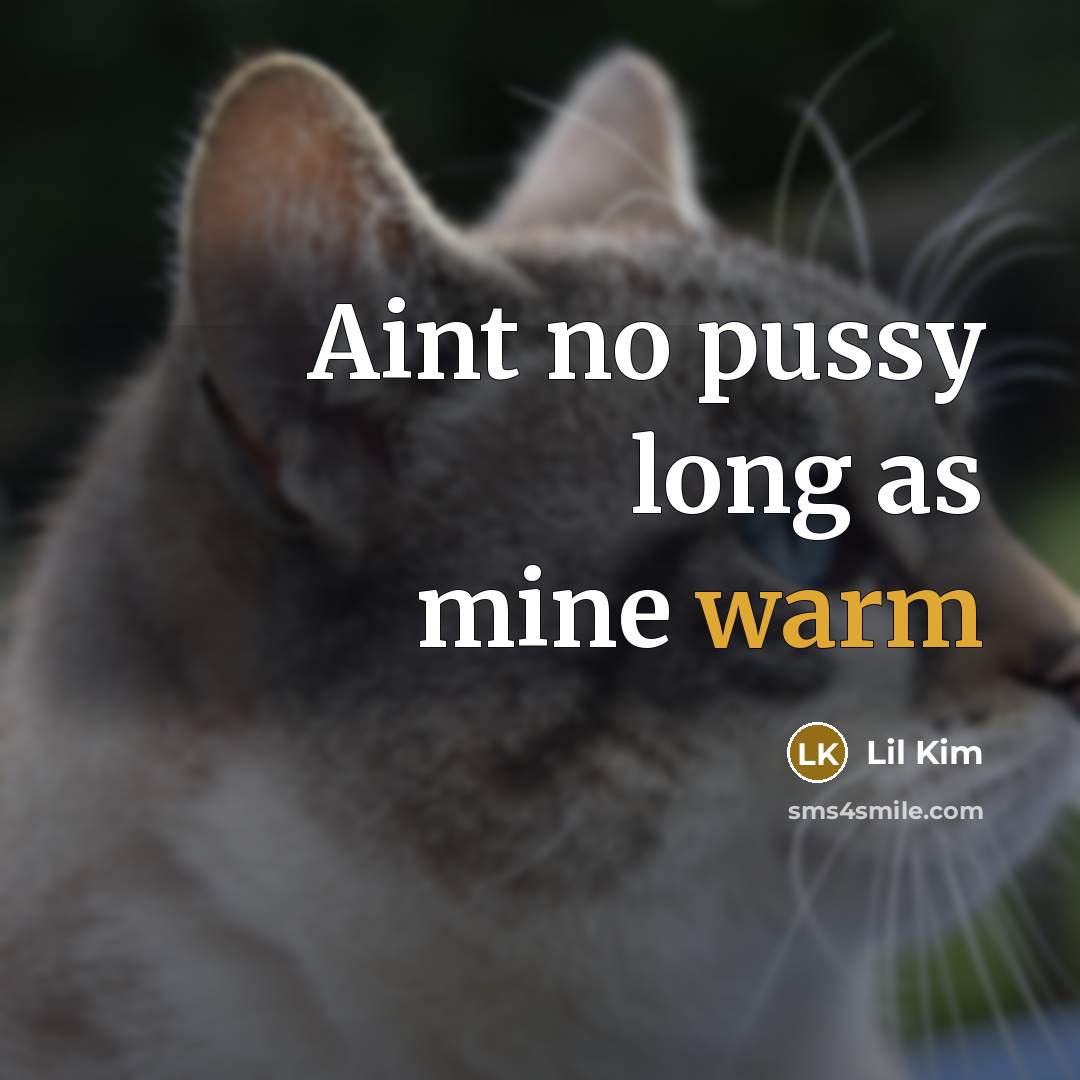 “Aint no pussy long as mine warm” quote by Lil Kim