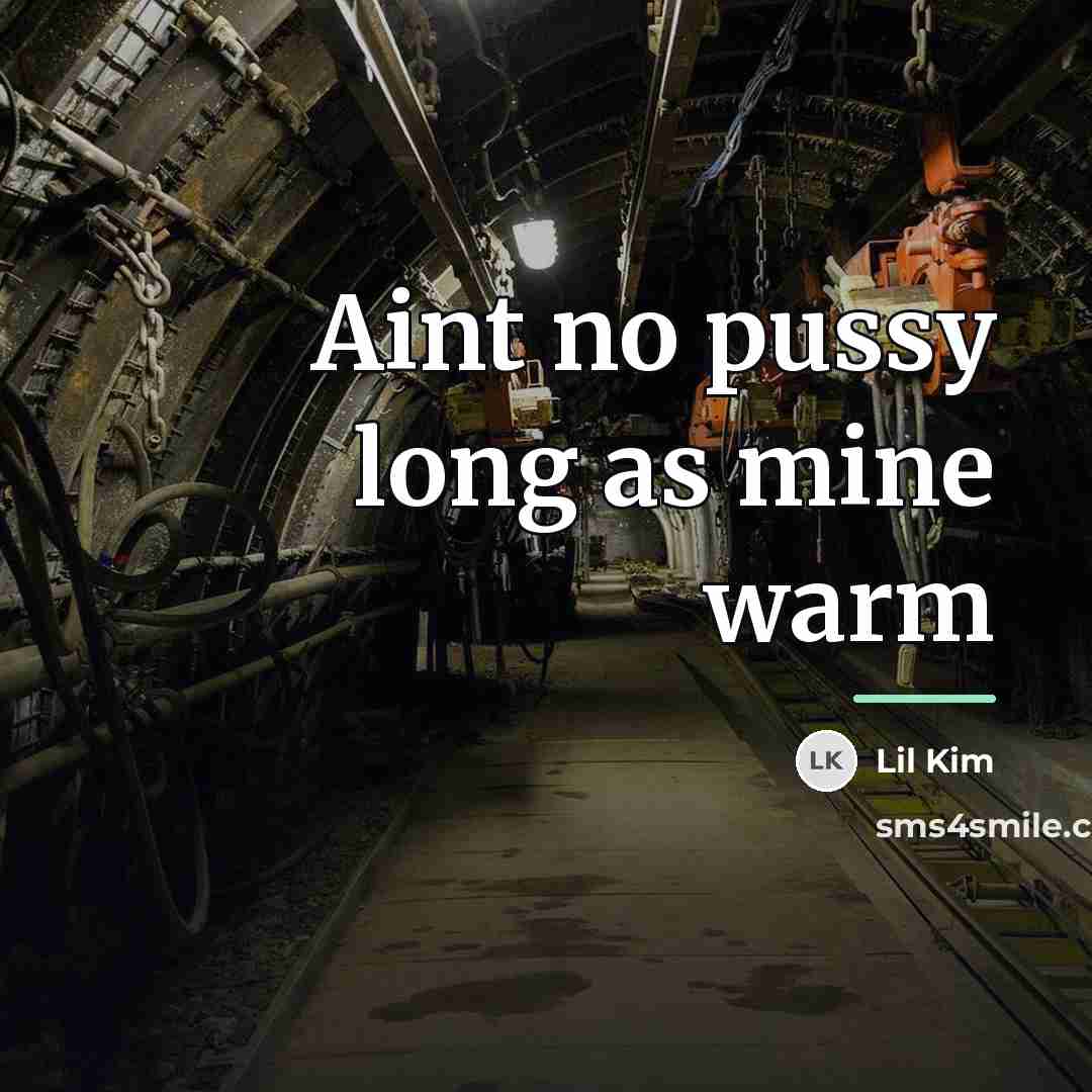 “Aint no pussy long as mine warm…” quote by Lil Kim