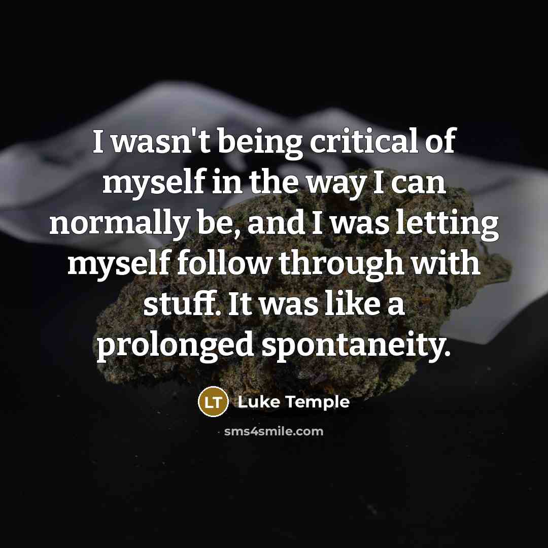 “I wasn't being critical of myself in the way I…” quote by Luke Temple