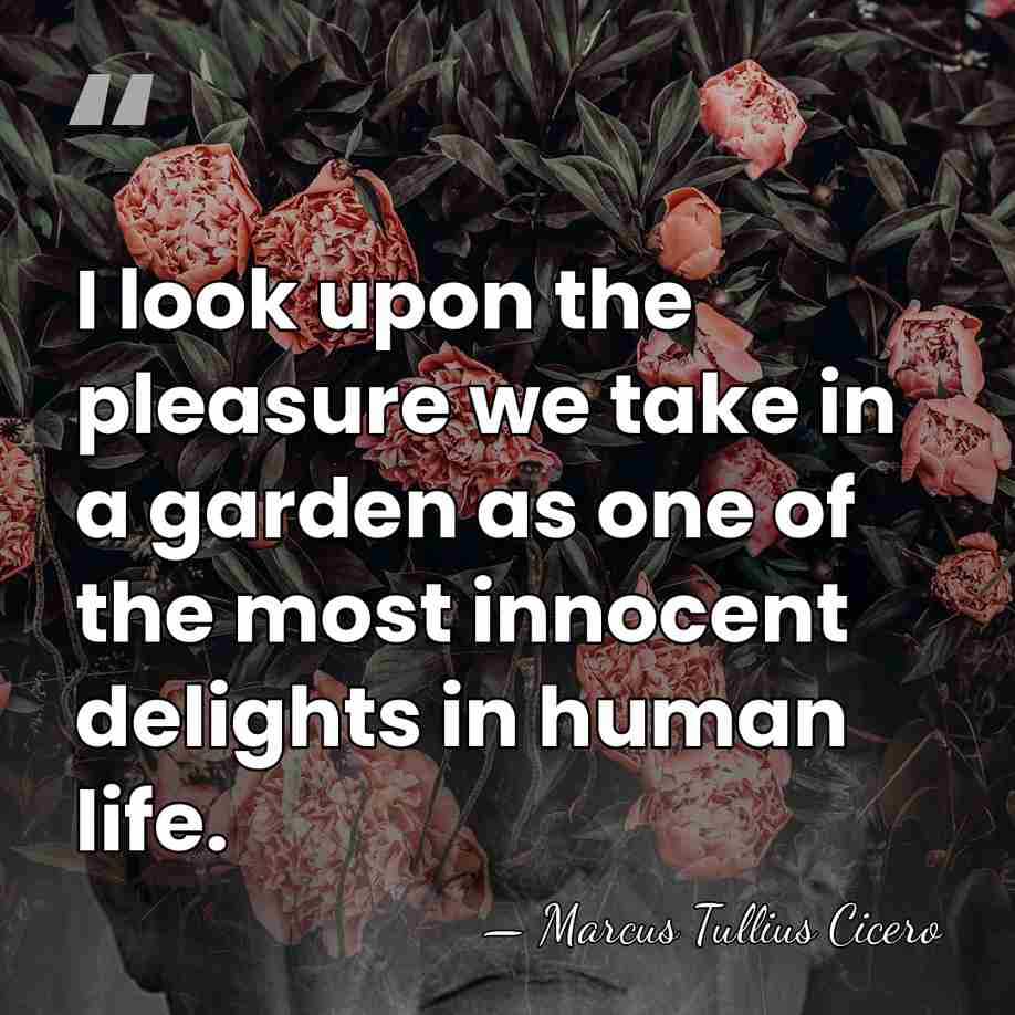 I look upon the pleasure we take in a garden as one&hellip; - Marcus Tullius Cicero