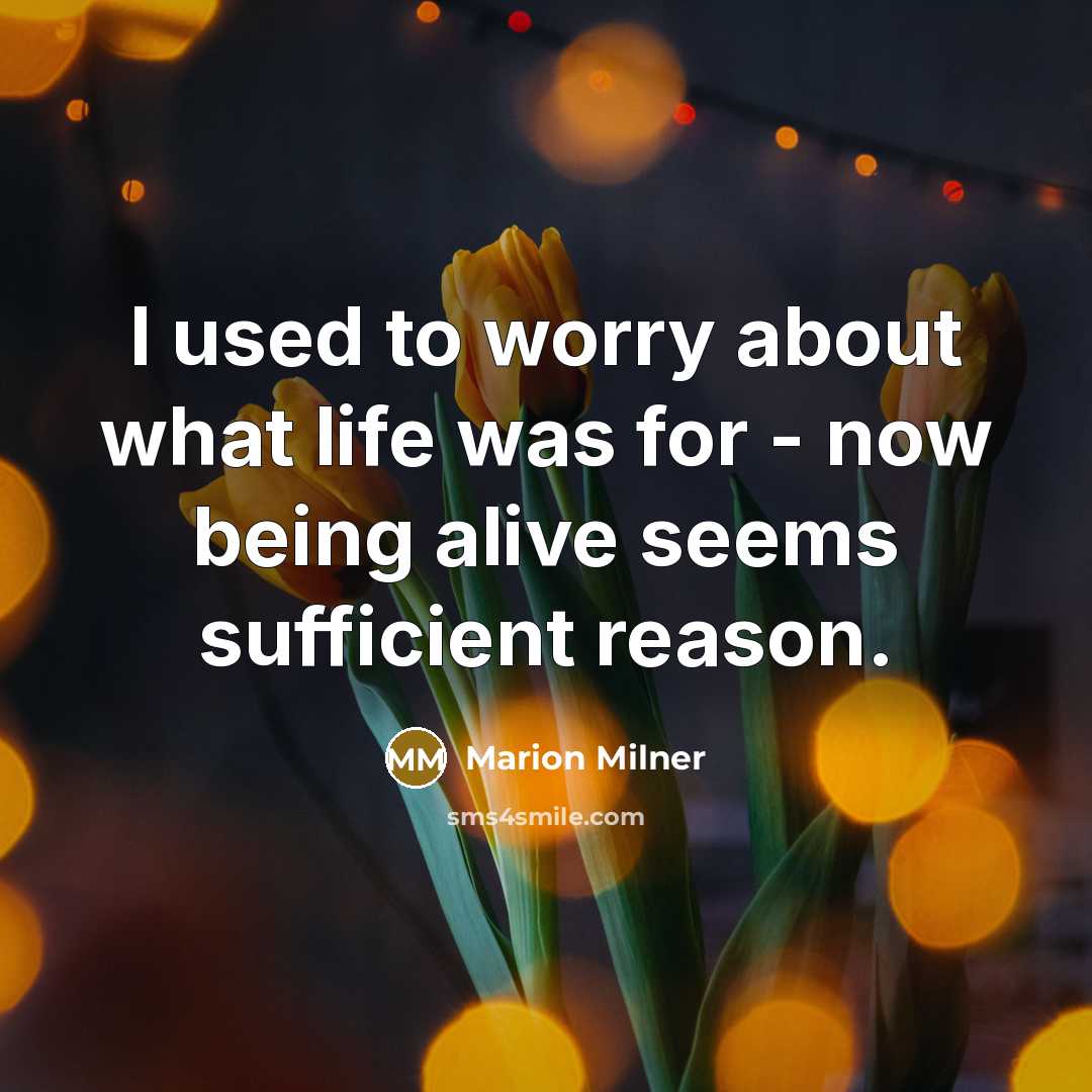 “I used to worry about what life was for -…” quote by Marion Milner