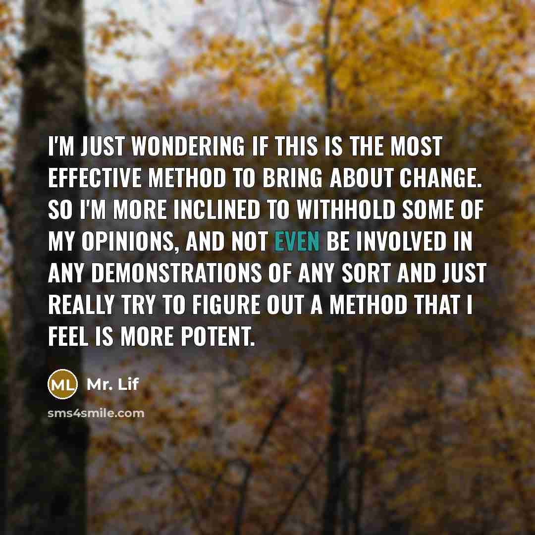 “I'm just wondering if this is the most effective method…” quote by Mr. Lif