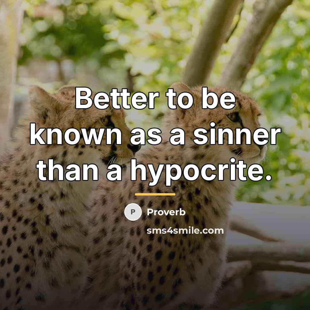“Better to be known as a sinner than a hypocrite.…” quote by Proverb