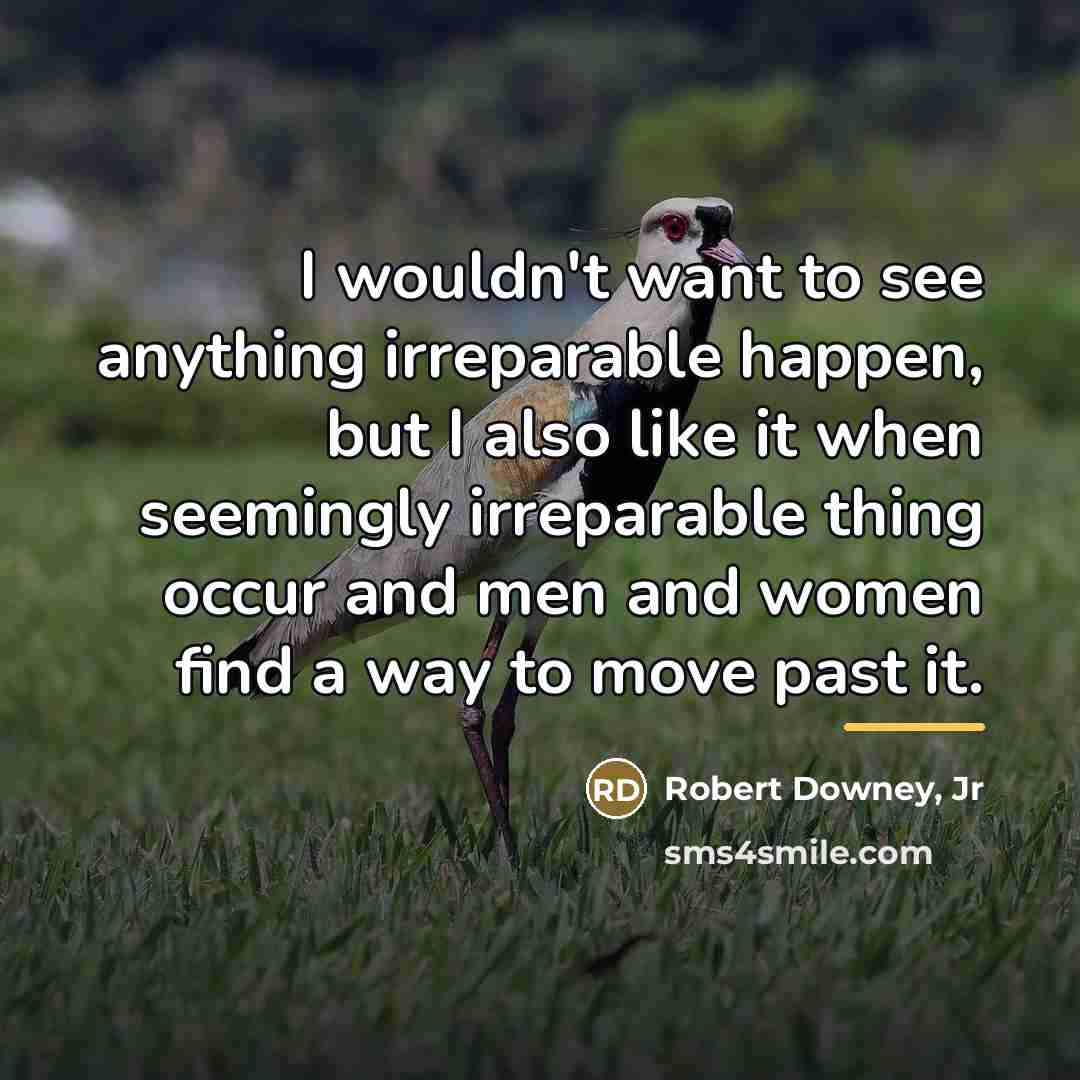 “I wouldn't want to see anything irreparable happen, but I…” quote by Robert Downey, Jr