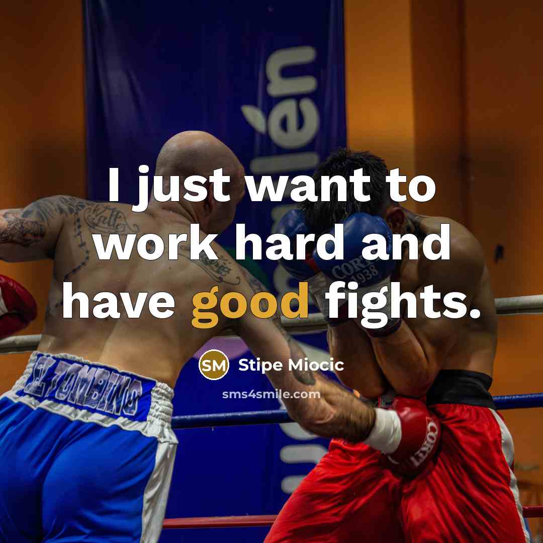 “I just want to work hard and have good fights.…” quote by Stipe Miocic