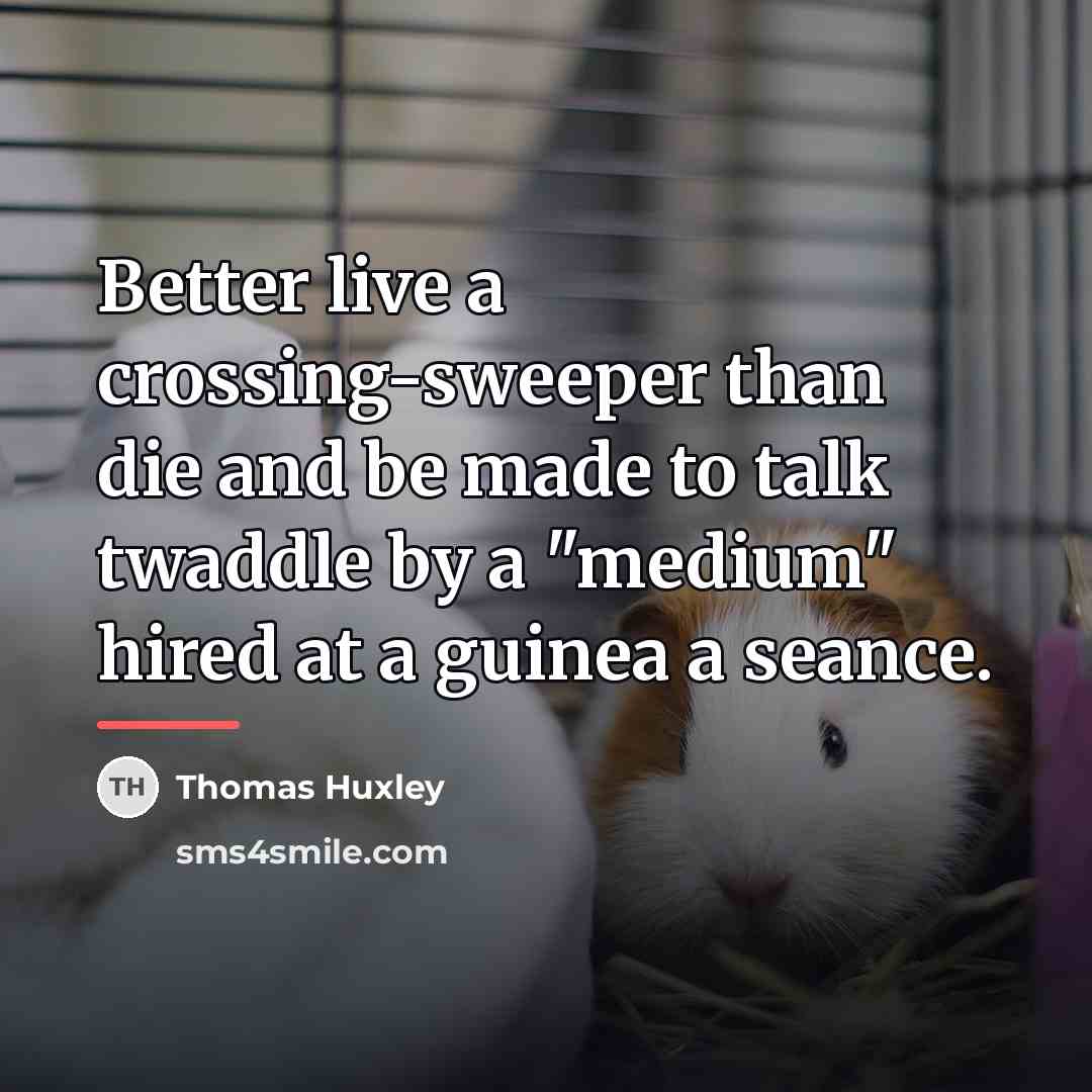 “Better live a crossing-sweeper than die and be made to…” quote by Thomas Huxley