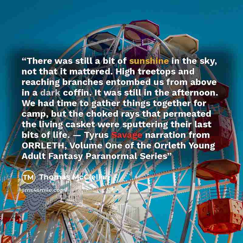 “There was still a bit of sunshine in the sky, not that it mattered. High treetops and reaching branches entombed us from above in a dark coffin. It was still in the afternoon. We had time to gather things together for camp, but the choked rays that permeated the living casket were sputtering their…” quote by Thomas McClellan
