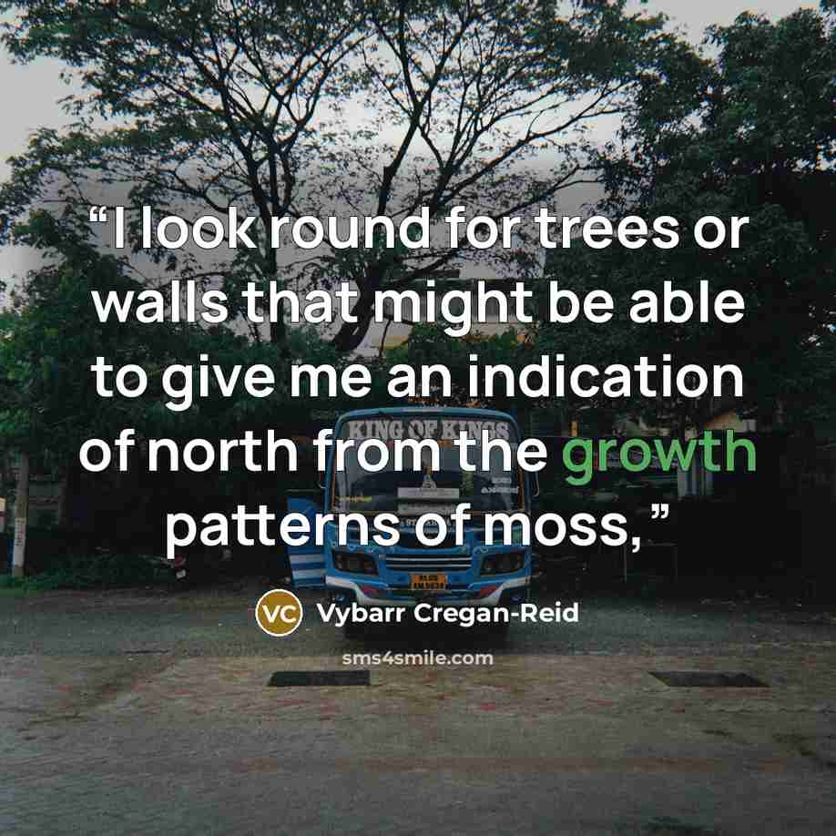 “I look round for trees or walls that might be able to give me an indication of north from the growth patterns of moss,” quote by Vybarr Cregan-Reid