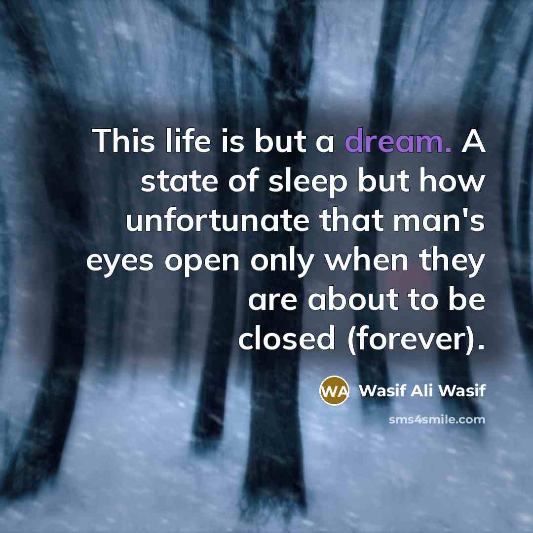 “This life is but a dream. A state of sleep…” quote by Wasif Ali Wasif