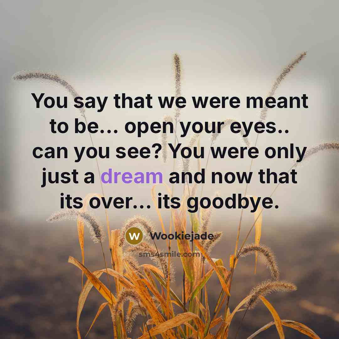 “You say that we were meant to be... open your eyes.. can you see? You were only just a dream and now that its over... its goodbye.” quote by Wookiejade
