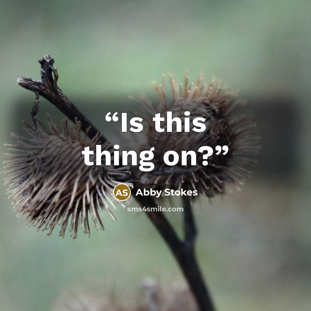 “Is this thing on?” quote by Abby Stokes