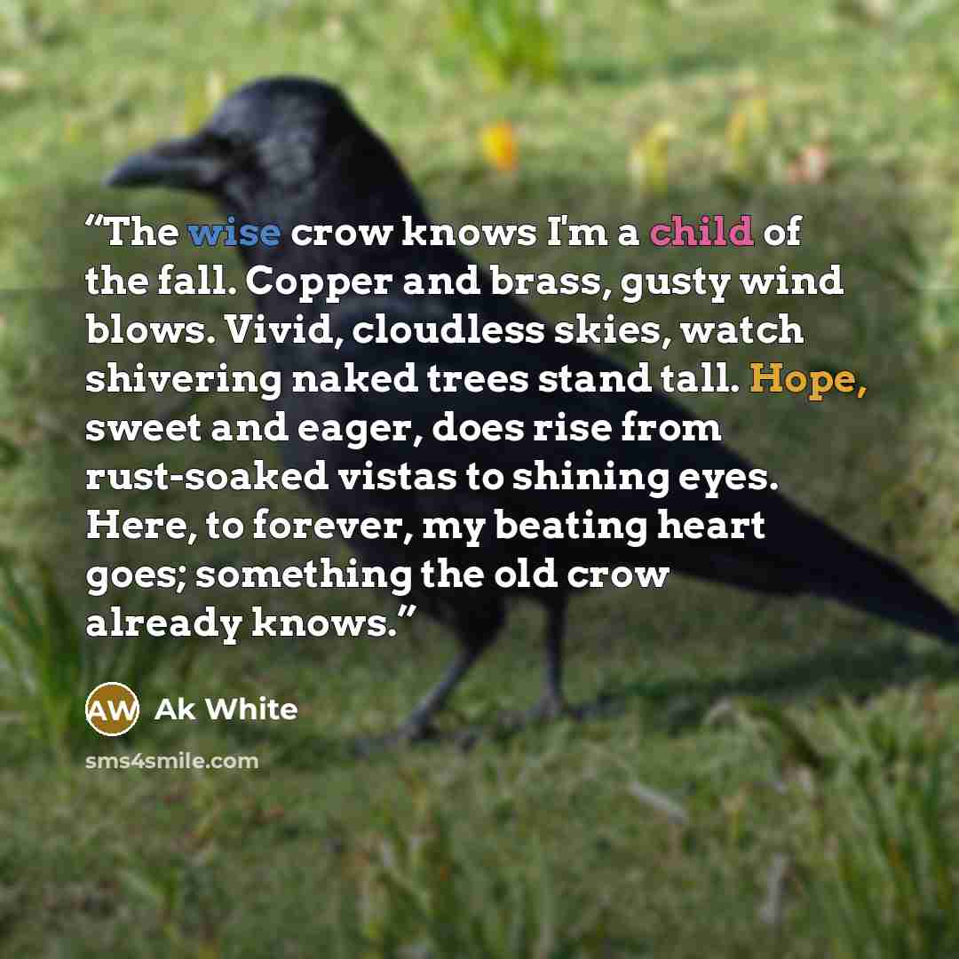 “The wise crow knows I'm a child of the fall. Copper and brass, gusty wind blows. Vivid, cloudless skies, watch shivering naked trees stand tall. Hope, sweet and eager, does rise from rust-soaked vistas to shining eyes. Here, to forever, my beating heart goes; something the old crow already knows.” quote by Ak White
