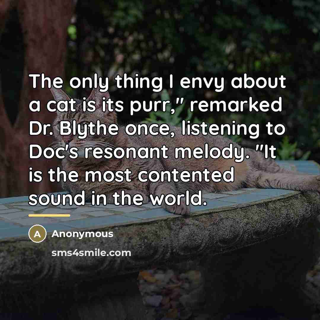 “The only thing I envy about a cat is its…” quote by Anonymous