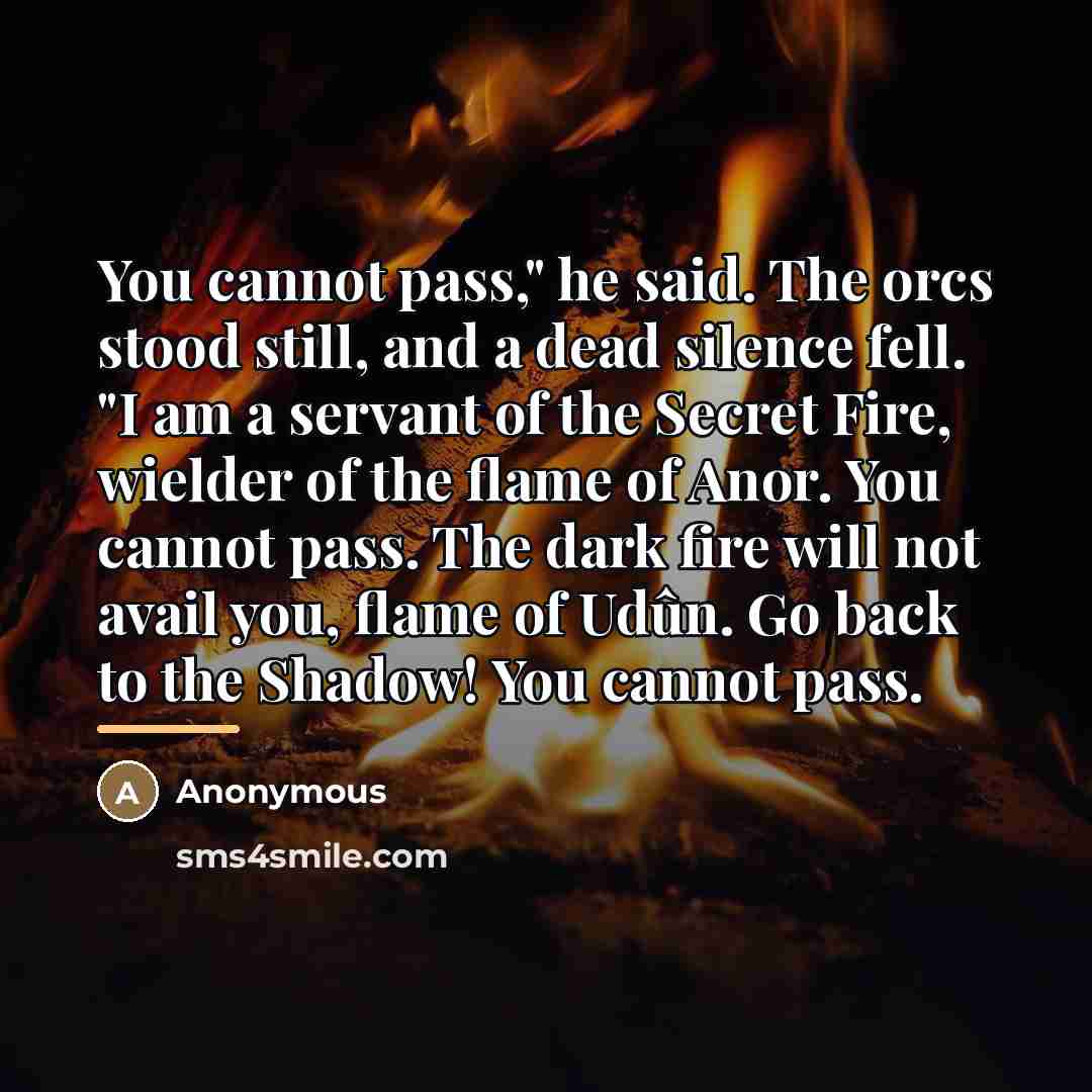 “You cannot pass," he said. The orcs stood still, and…” quote by Anonymous