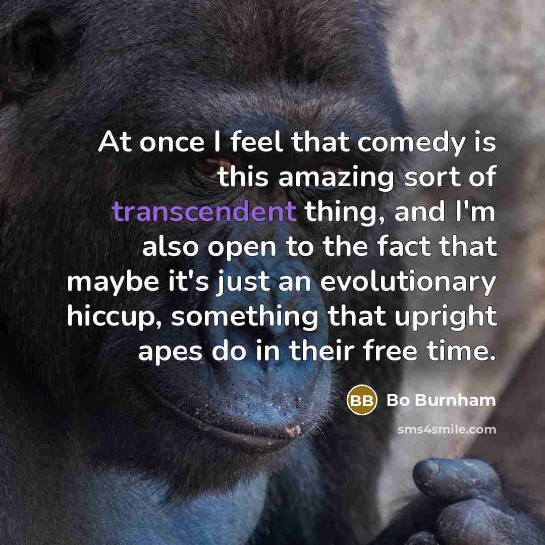 “At once I feel that comedy is this amazing sort…” quote by Bo Burnham