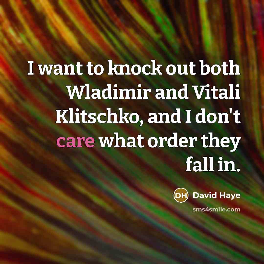 “I want to knock out both Wladimir and Vitali Klitschko,…” quote by David Haye