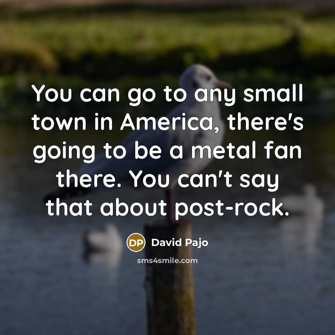 “You can go to any small town in America, there's…” quote by David Pajo