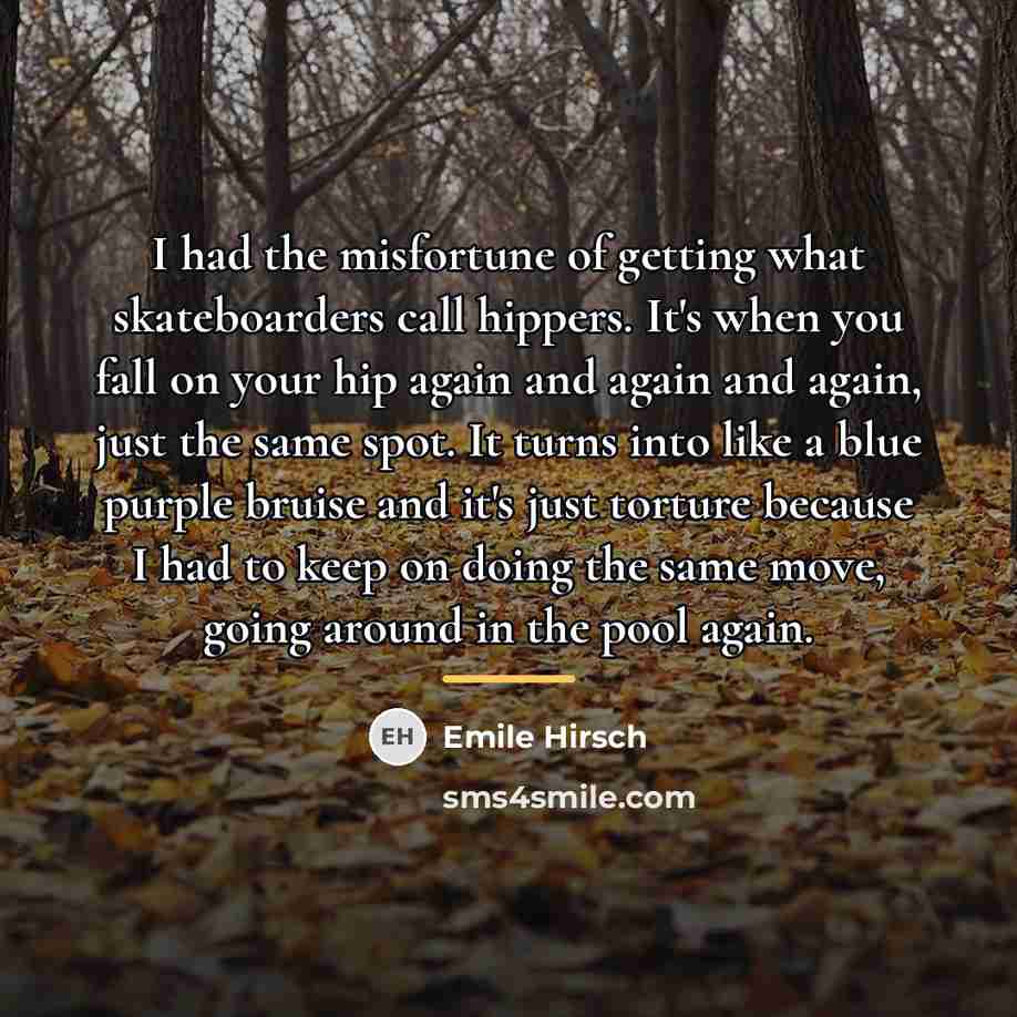 “I had the misfortune of getting what skateboarders call hippers.…” quote by Emile Hirsch