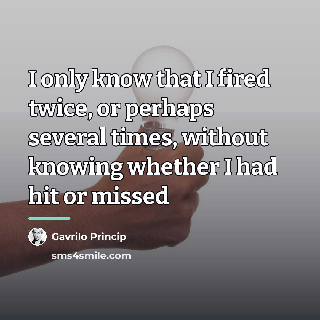 “I only know that I fired twice, or perhaps several…” quote by Gavrilo Princip