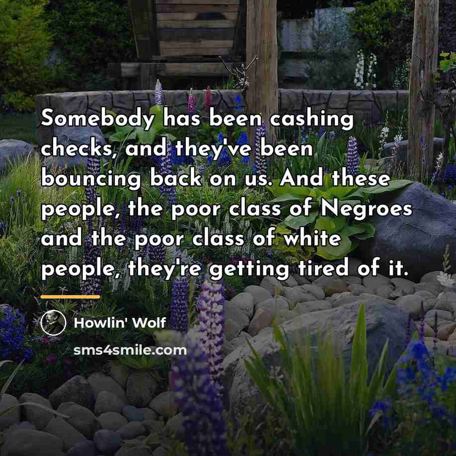 “Somebody has been cashing checks, and they've been bouncing back…” quote by Howlin' Wolf
