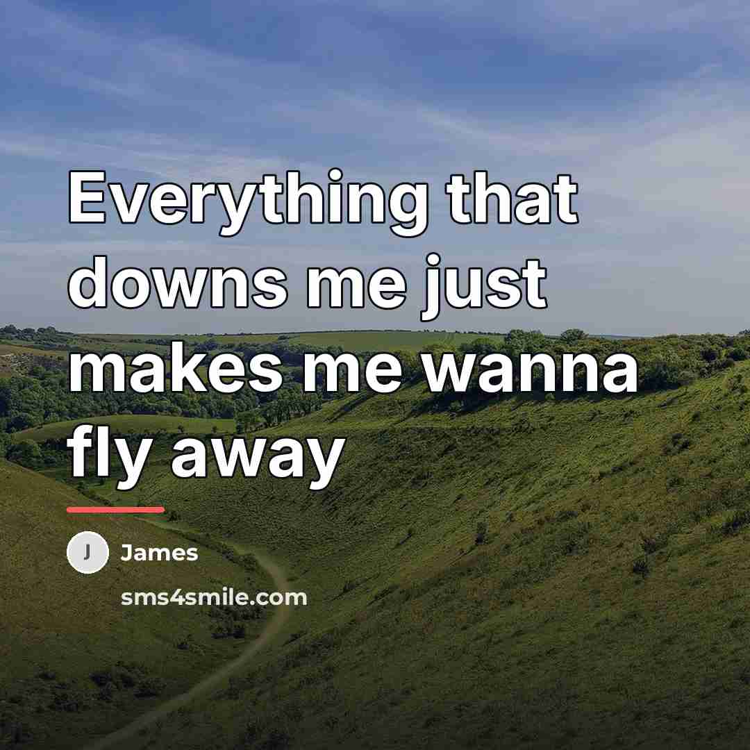 “Everything that downs me just makes me wanna fly away…” quote by James