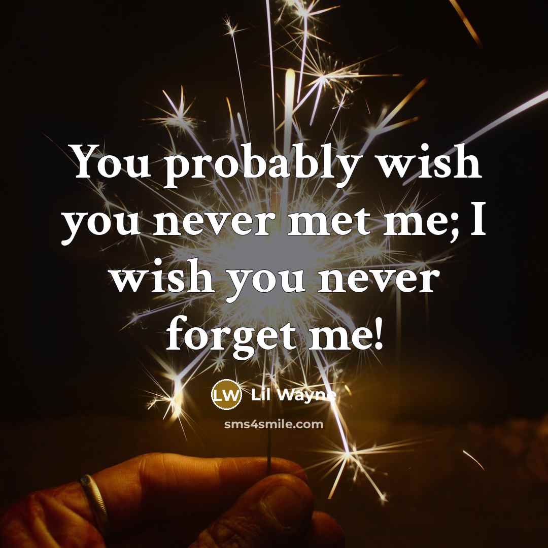 “You probably wish you never met me; I wish you…” quote by Lil Wayne
