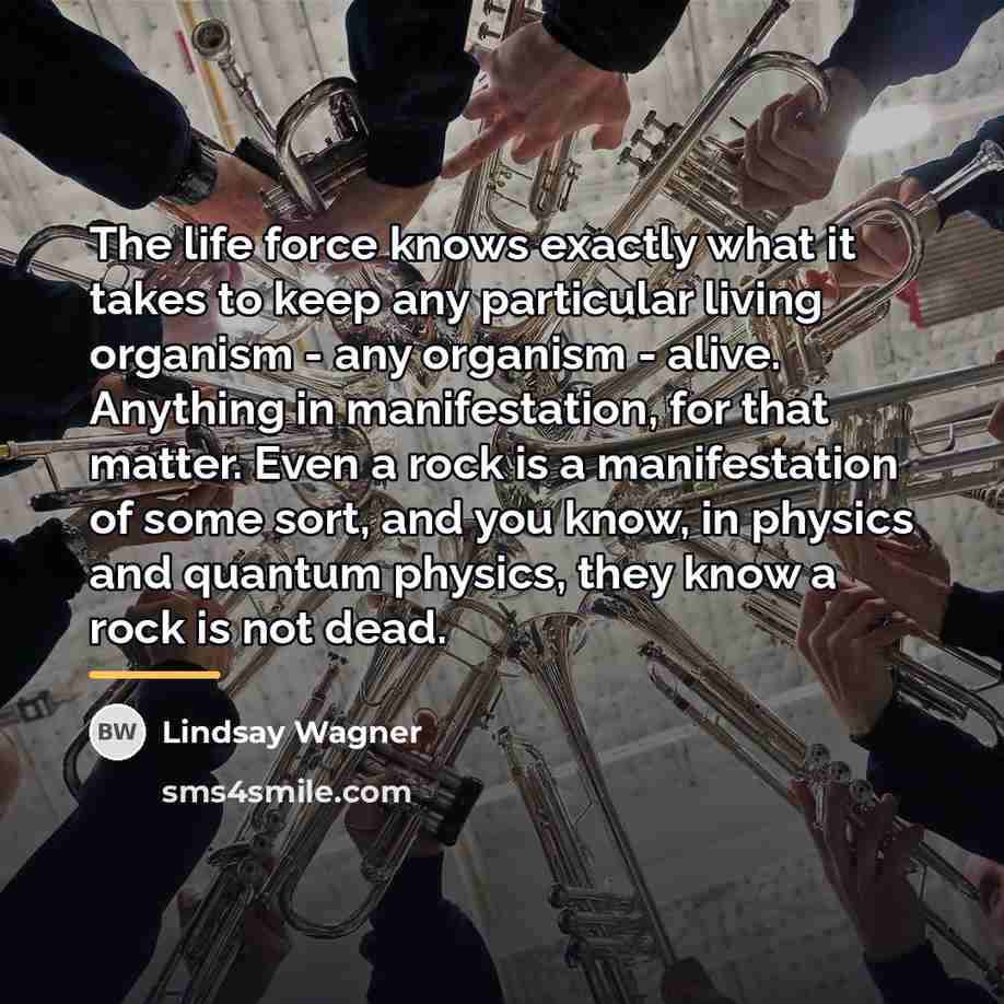 “The life force knows exactly what it takes to keep…” quote by Lindsay Wagner
