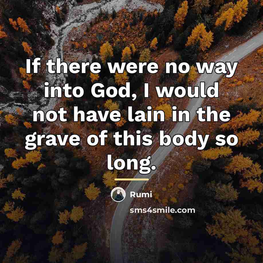 “If there were no way into God, I would not…” quote by Rumi