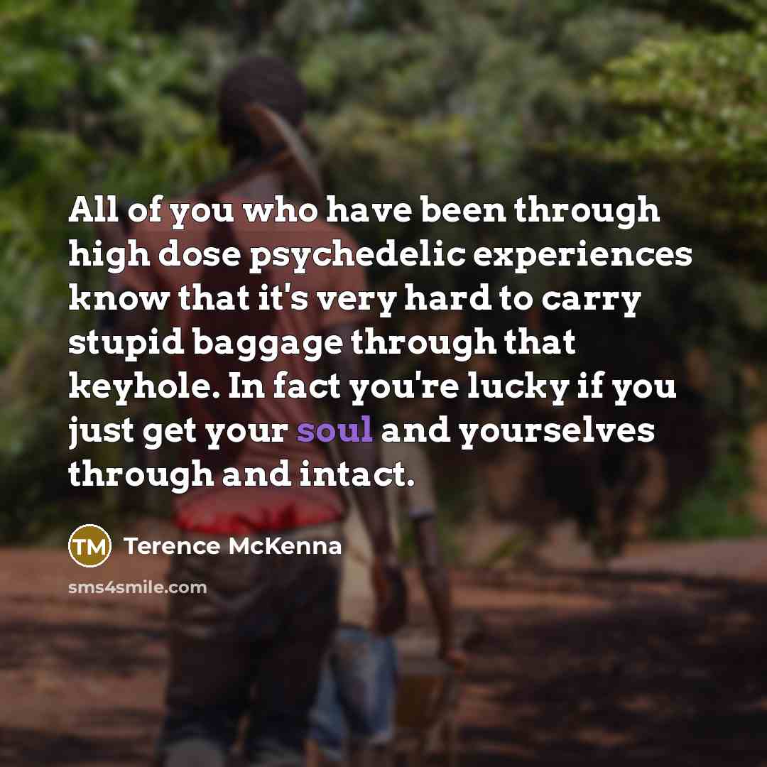 “All of you who have been through high dose psychedelic…” quote by Terence McKenna