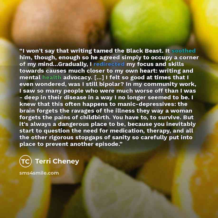 “I won't say that writing tamed the Black Beast. It soothed him, though, enough so he agreed simply to occupy a corner of my mind...Gradually, I redirected my focus and skills towards causes much closer to my own heart: writing and mental health advocacy. [...] I felt so good at times that I even…” quote by Terri Cheney