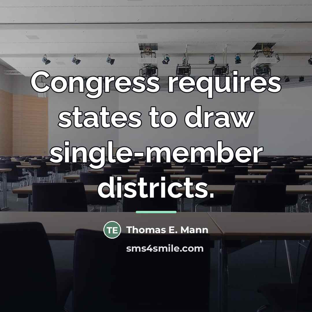 “Congress requires states to draw single-member districts.…” quote by Thomas E. Mann