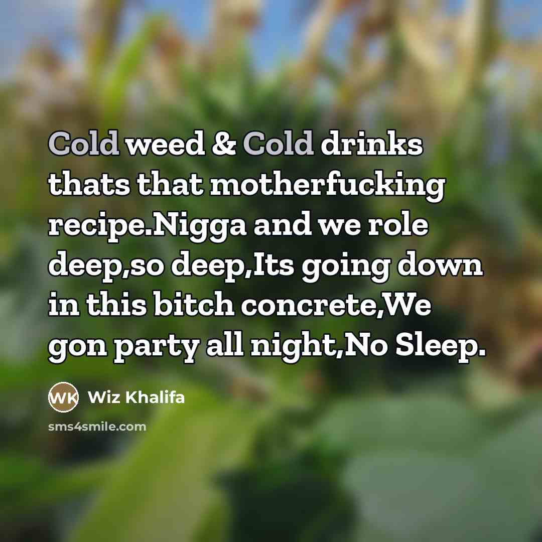 “Cold weed & Cold drinks thats that motherfucking recipe.Nigga and…” quote by Wiz Khalifa