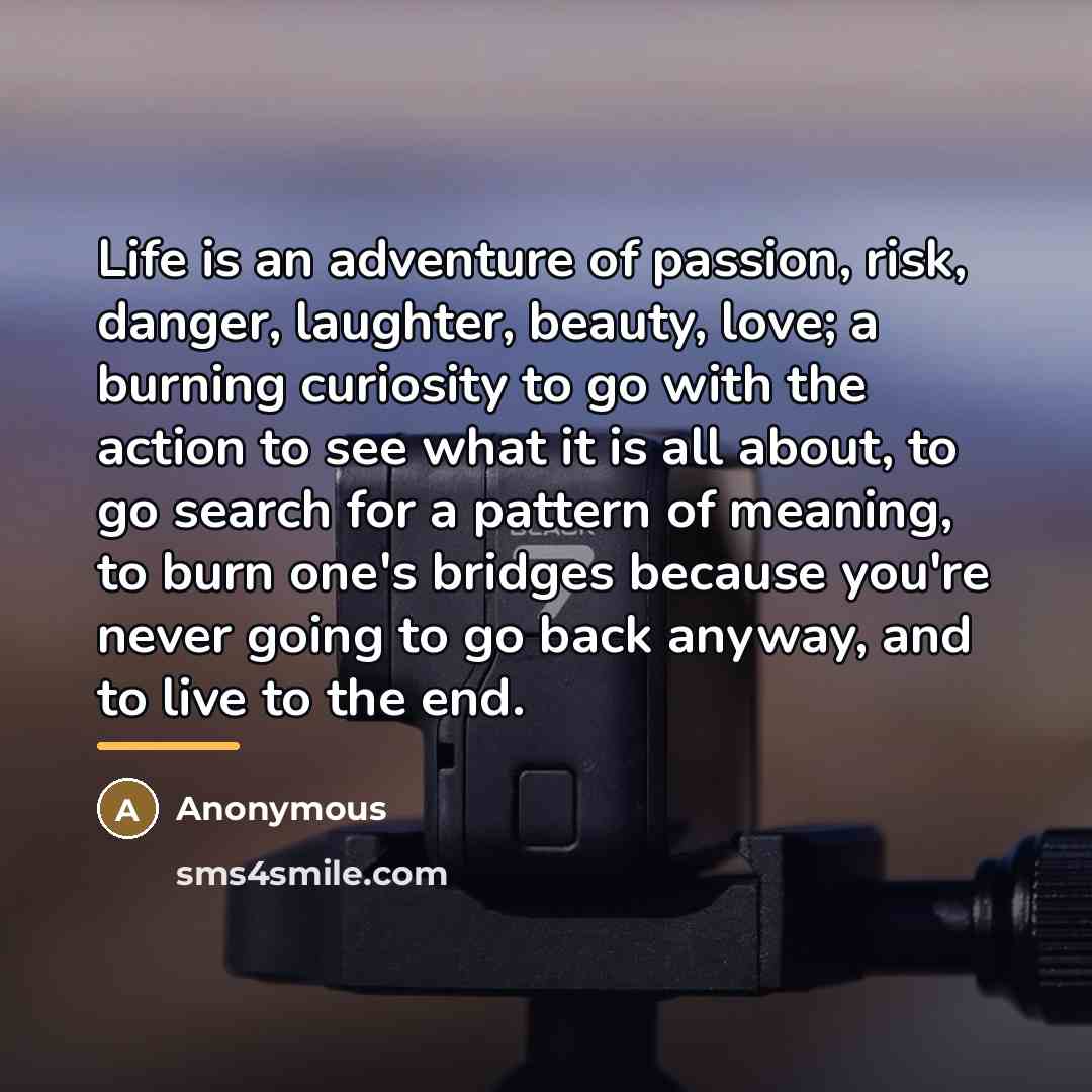 “Life is an adventure of passion, risk, danger, laughter, beauty,…” quote by Anonymous