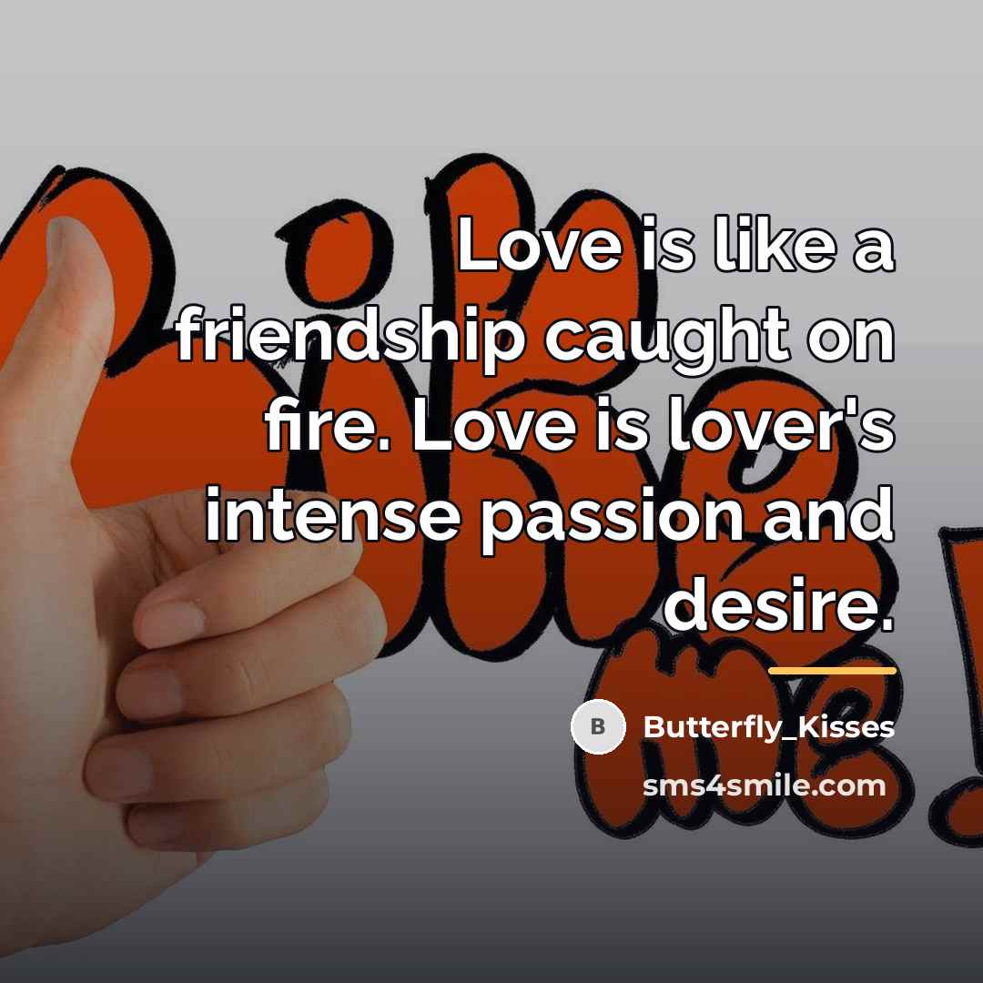 “Love is like a friendship caught on fire. Love is…” quote by Butterfly_Kisses