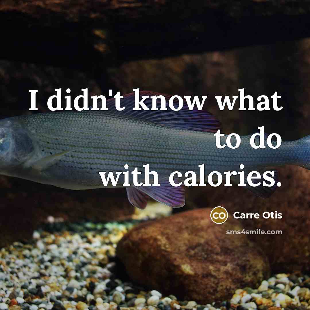 “I didn't know what to do with calories.…” quote by Carre Otis