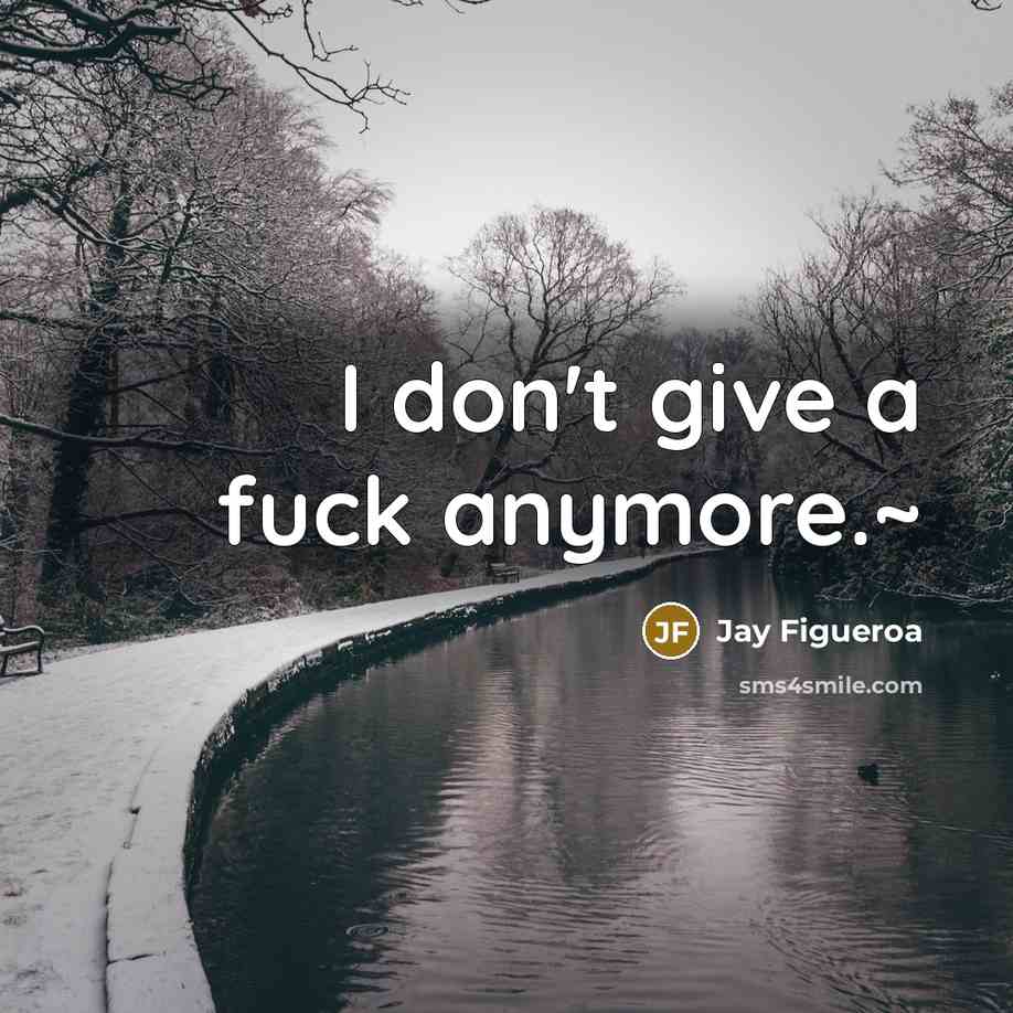 “I don't give a fuck anymore.~…” quote by Jay Figueroa