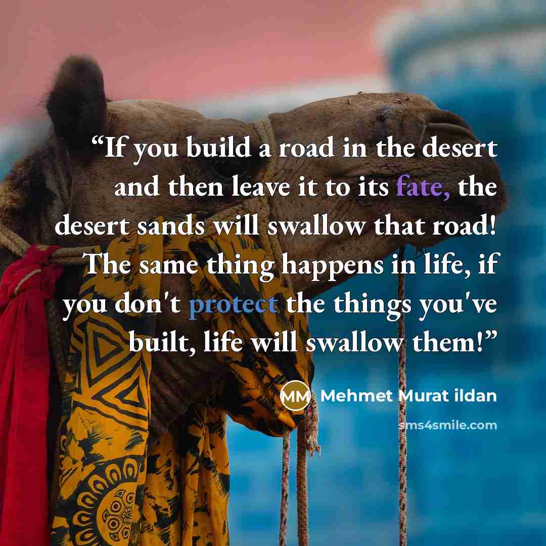 “If you build a road in the desert and then leave it to its fate, the desert sands will swallow that road! The same thing happens in life, if you don't protect the things you've built, life will swallow them!” quote by Mehmet Murat ildan