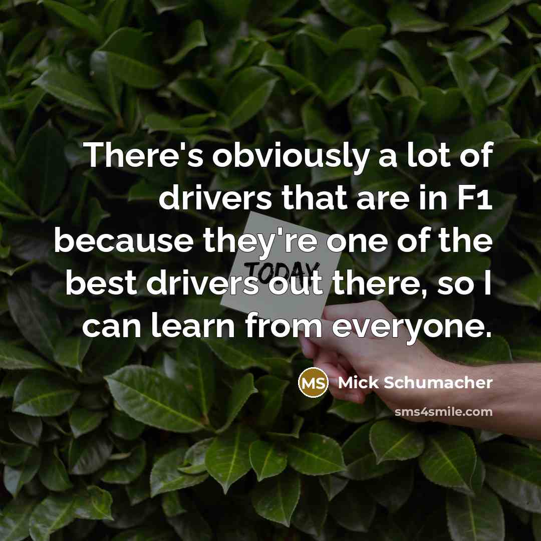 “There's obviously a lot of drivers that are in F1…” quote by Mick Schumacher