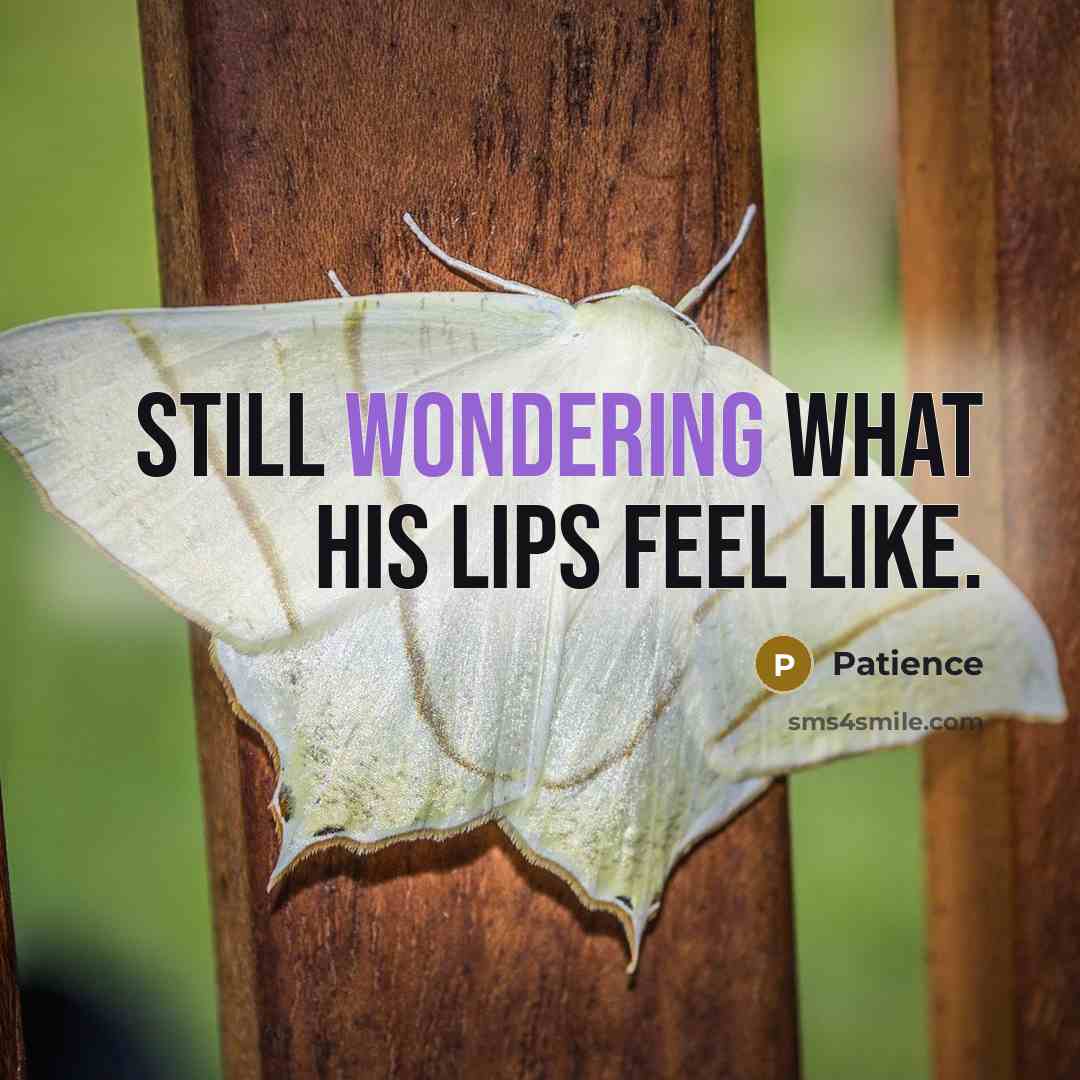 “Still wondering what his lips feel like.” quote by Patience