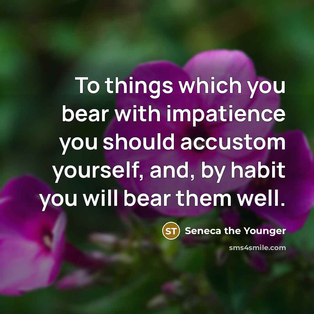 “To things which you bear with impatience you should accustom…” quote by Seneca the Younger